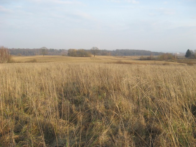 kalnelois